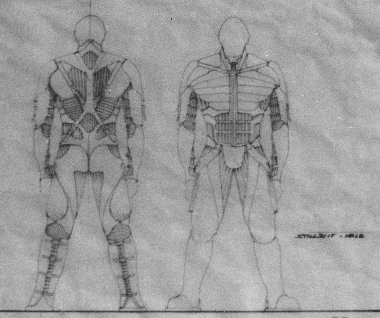 1636017769_524_notitle.jpg