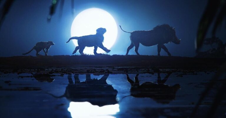 A classic moon shot over the tree.