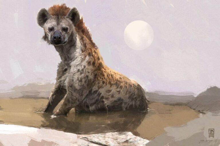 Hyena