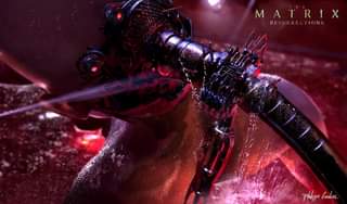 No photo description available.