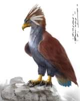 ไม่มีคำอธิบายรูปภาพ