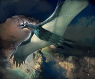 ไม่มีคำอธิบายรูปภาพ