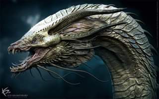 ไม่มีคำอธิบายรูปภาพ