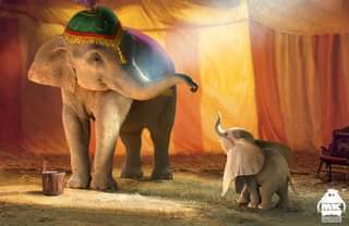 ไม่มีคำอธิบายรูปภาพ