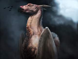 ไม่มีคำอธิบายรูปภาพ