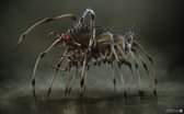 1667410244_57_The-Predator-Concept-Art.jpg