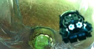 ไม่มีคำอธิบายรูปภาพ