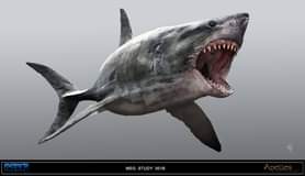 ไม่มีคำอธิบายรูปภาพ