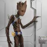 ไม่มีคำอธิบายรูปภาพ