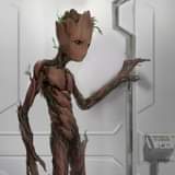 ไม่มีคำอธิบายรูปภาพ