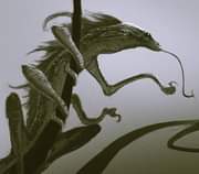 ไม่มีคำอธิบายรูปภาพ