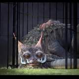 ไม่มีคำอธิบายรูปภาพ