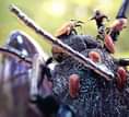 1668280087_964_Ant-Man-and-the-Wasp-Concept-Art.jpg