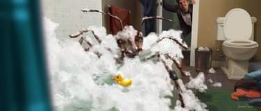 ไม่มีคำอธิบายรูปภาพ