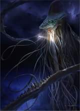 ไม่มีคำอธิบายรูปภาพ