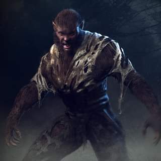 ไม่มีคำอธิบายรูปภาพ