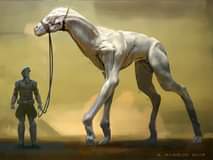 ไม่มีคำอธิบายรูปภาพ