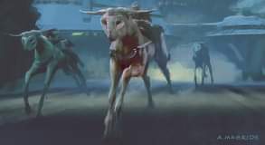 ไม่มีคำอธิบายรูปภาพ