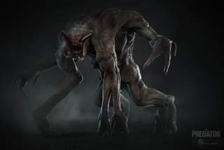 ไม่มีคำอธิบายรูปภาพ